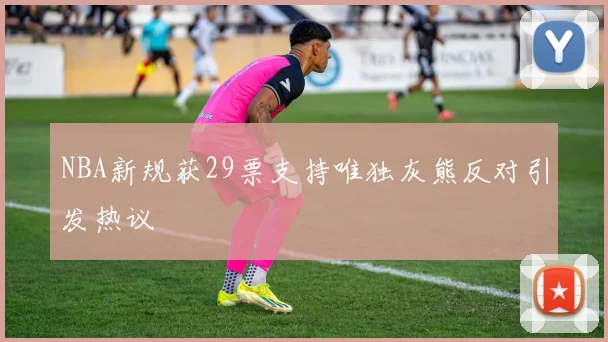 NBA新规获29票支持唯独灰熊反对引发热议