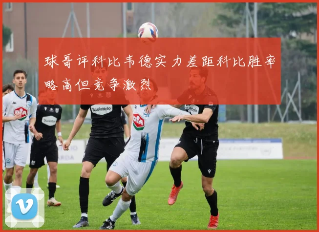 球哥评科比韦德实力差距科比胜率略高但竞争激烈
